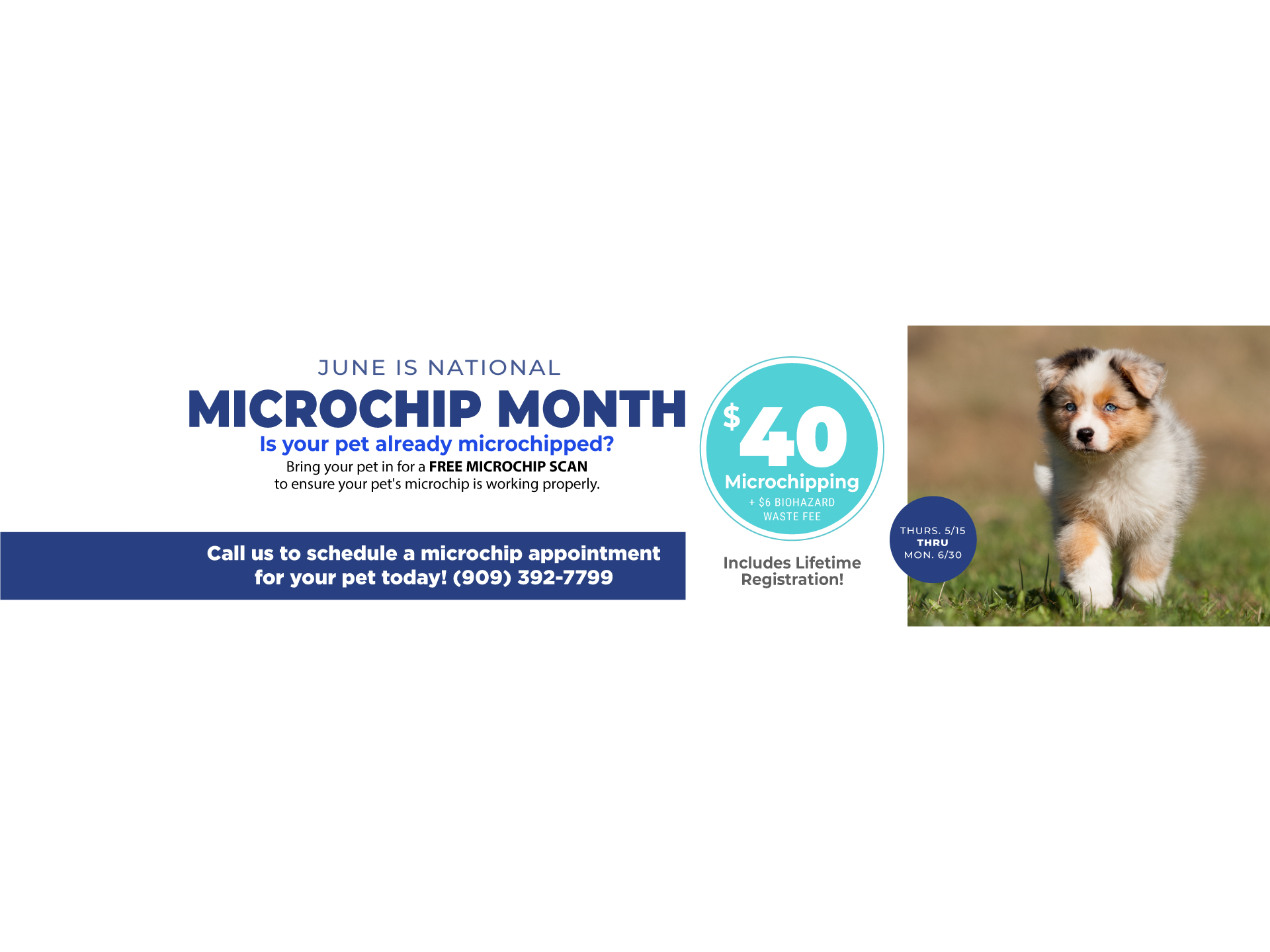 Microchip Month