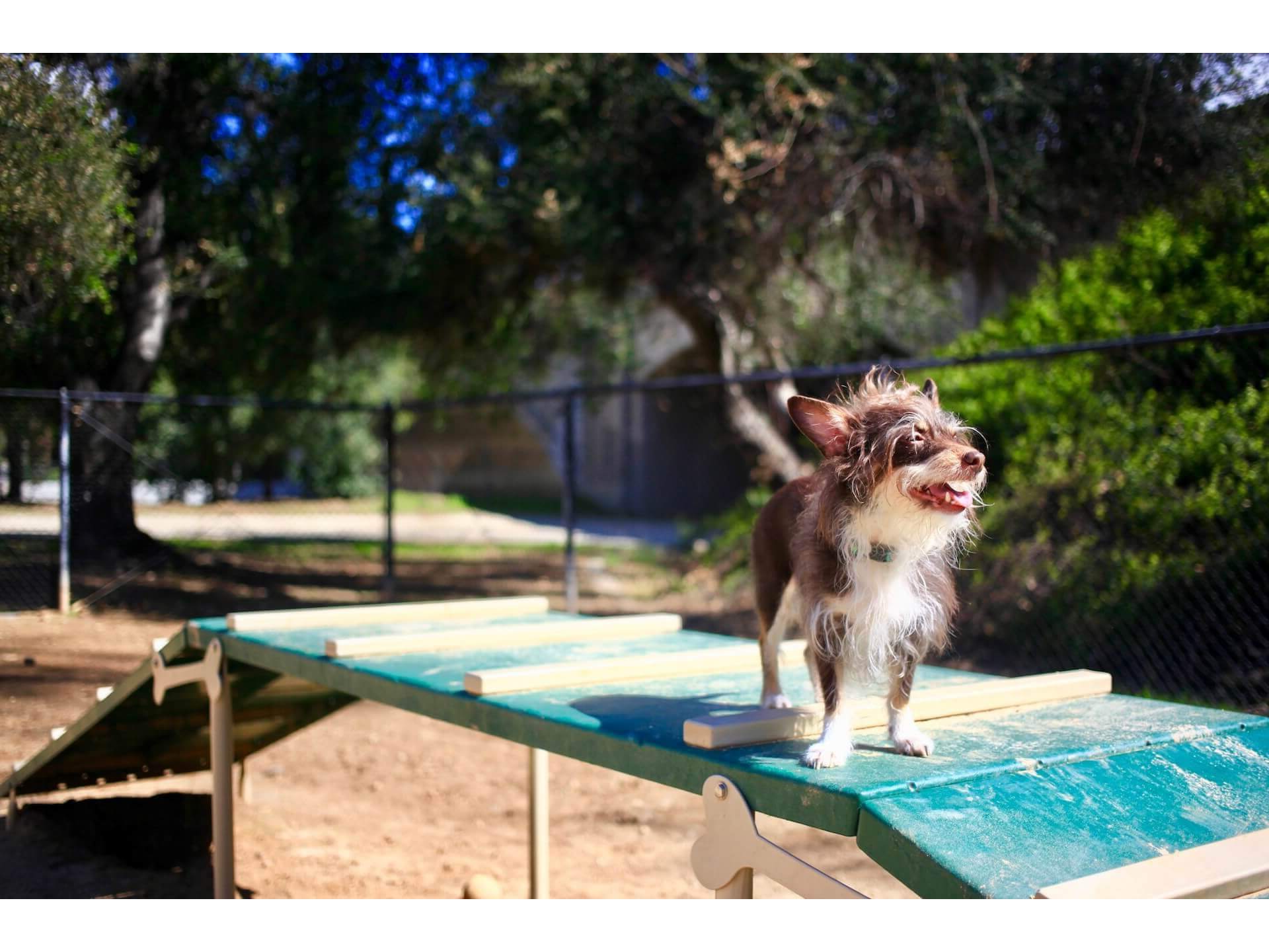 Veterinary hospital in La Verne