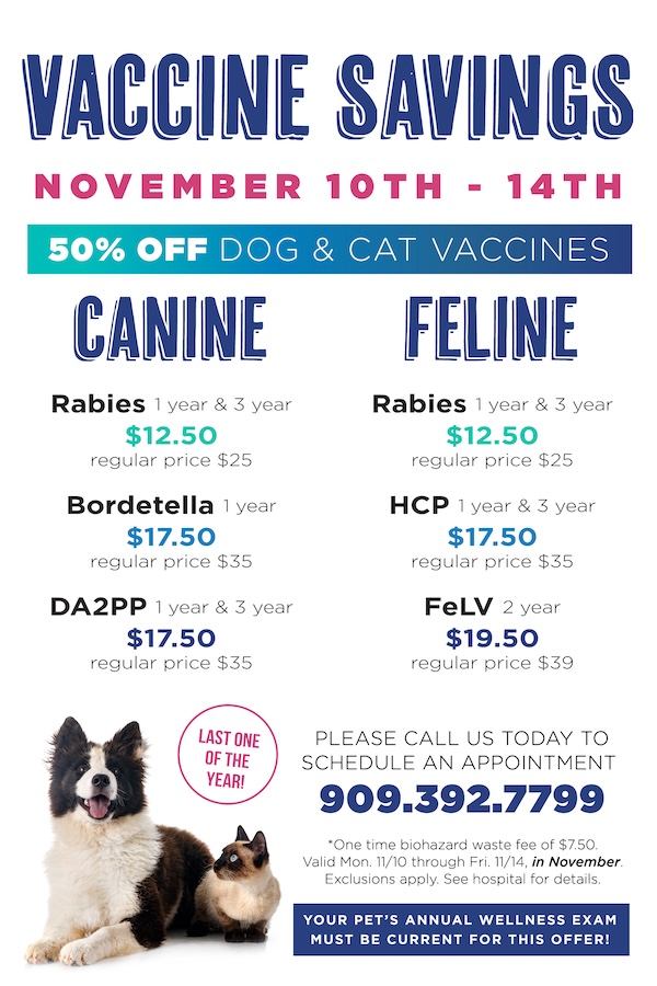 Vaccine November Special