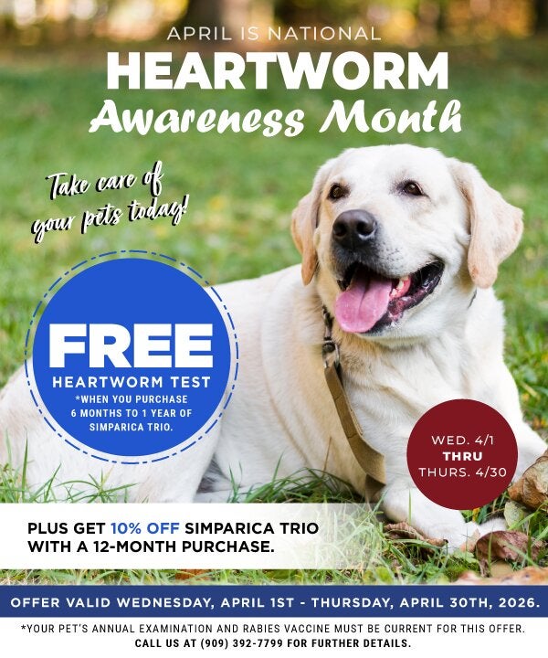 April Heartworm