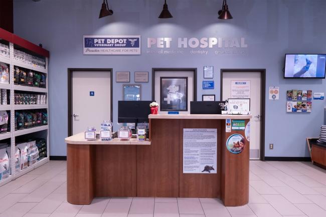 Veterinarian in [practice:city], [practice:state] 